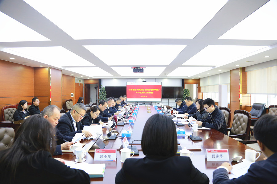 能投股份召開(kāi)領(lǐng)導(dǎo)班子2024年度民主生活會(huì)